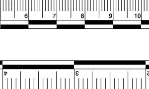 Photo Evidence Scale, White (PPS400)