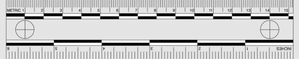 Photo Evidence Scale, Grey (PPS401)