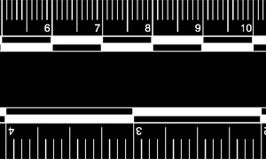 Photo Evidence Scale, Black (PPS403)