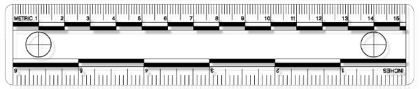 Photo Evidence Scale, Transparent (PPS404)