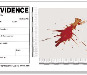 Blood Stain/Evidence Template, 15 pk. (BST1)